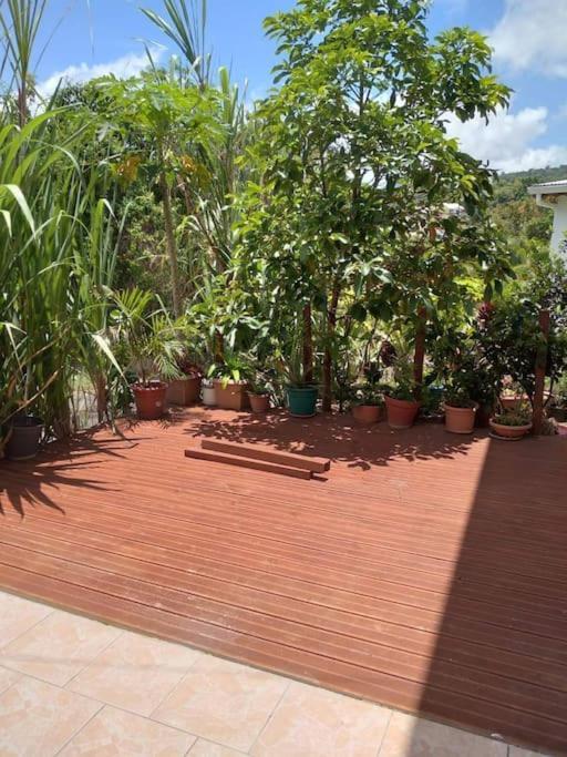 Chez Vava Et Maianne Villa Bouillante Dış mekan fotoğraf